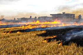 aniz-yakma-uyarisi-12259484_amp