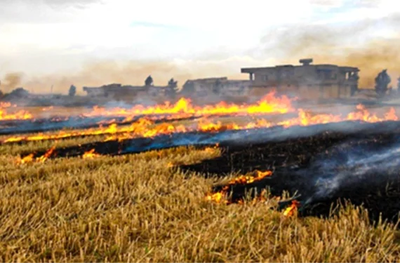 aniz-yakma-uyarisi-12259484_amp