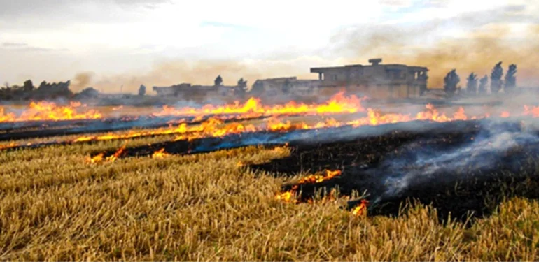 Anız Yakmanın Zararları Nelerdir?