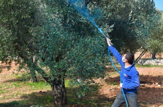 c2ffc0e5e85fc0b79f24390e8da88a6c