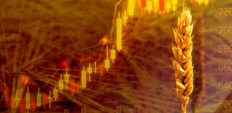 Küresel Buğday Krizi ve Ukrayna- Rusya Savaşı