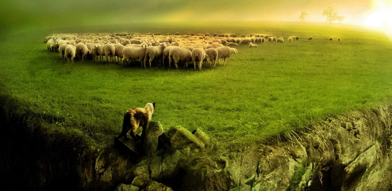 Meraların Yaşam Döngüsündeki Rolü ve Önemi