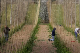 1920x1080_cmsv2_00857951-42d1-5e65-ac01-650cc4f3a9a8-8183134