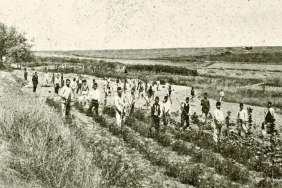 3-halkali-ziraat-mektebi-talebesi-fidan-dikerken