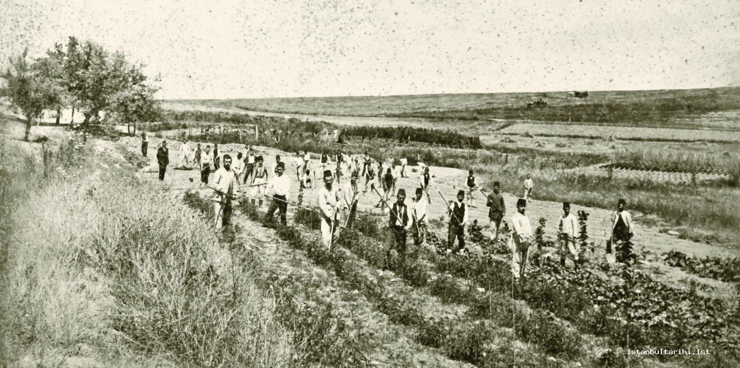 3-halkali-ziraat-mektebi-talebesi-fidan-dikerken