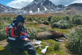 4HiFzjV0NUeHxRh_g3p5Ng