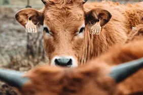 6603dbe9360b5d9b3652d102