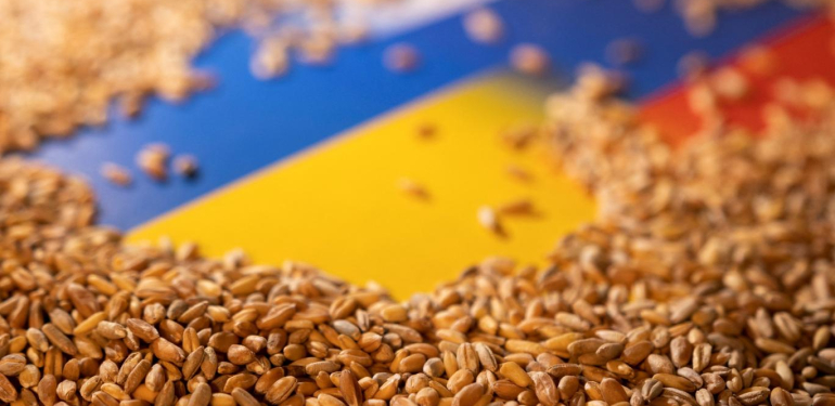 Rusya-Ukrayna Savaşının Gıda Arzına Etkileri ve Tahıl Koridoru Anlaşması