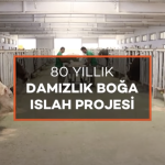 Ekran Resmi 2024-04-09 22.53.15