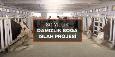 Ekran Resmi 2024-04-09 22.53.15