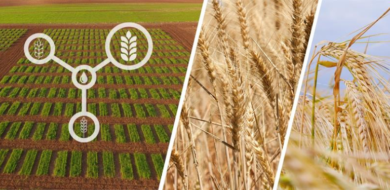 Tarımsal Üretim Planlaması Hayata Geçiriliyor