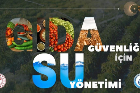 WhatsApp Image 2023-06-07 at 15.26.30