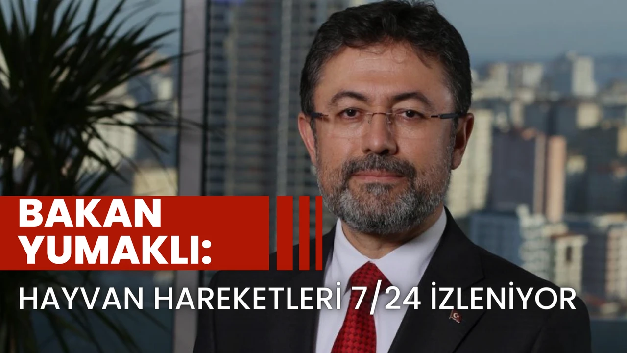 aysenur-web-2024-03-30t161424435