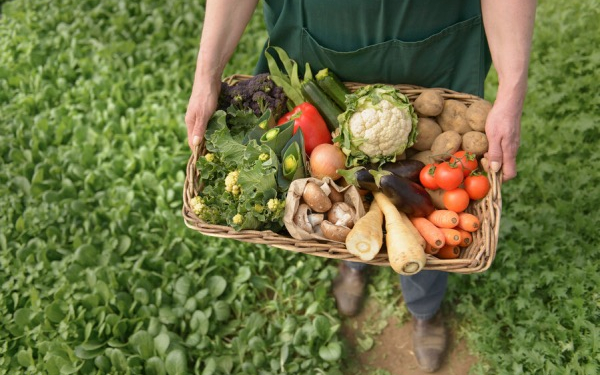 Sürdürülebilir Beslenme Nedir? Neden Önemlidir?