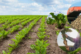 sekertescil05.04.2024