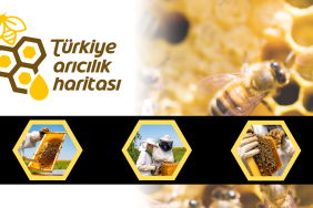 Yellow and Black Modern Beekeeping Services Facebook Cover