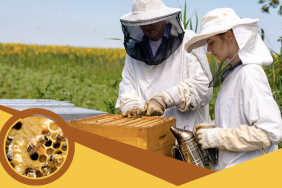 Ekran Resmi 2024-07-12 11.01.12