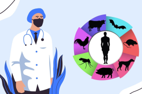 Zoonotik hastalıklar tarım akademi