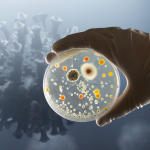 ilaç bakteri direnci