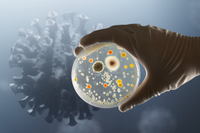 ilaç bakteri direnci