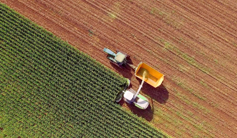 OECD ve FAO’ya Göre Doğu Avrupa’da Tarım Türkiye İle Büyüyecek