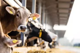 66a807de7d74d1bfb71b55e3