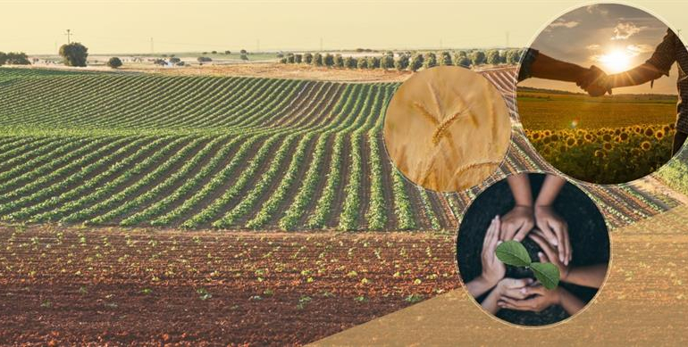 Üretici Birliklerinde Yeni Dönem: Derecelendirme Sistemiyle Tarımsal Kuruluşların Geleceği