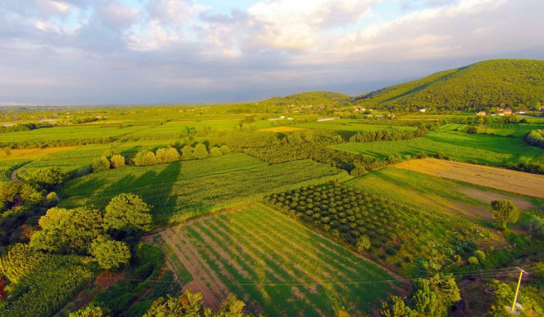 Tarım Arazilerinde Değişim Rüzgarı: Yeni Yönetmelik Neler Getiriyor?