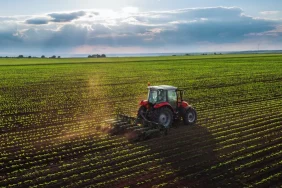 x_565_424_tarim-arazisi-nedir-sozluk