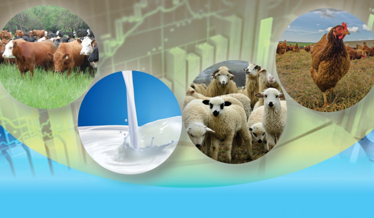 Üretim Planlamasında Su Yönetimi: Hayvancılığın Geleceği