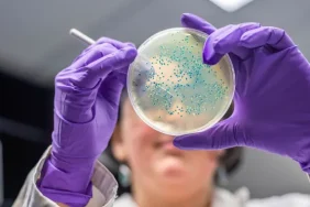 771d5e8f-60a5-4a97-b30f-14c8067f9347