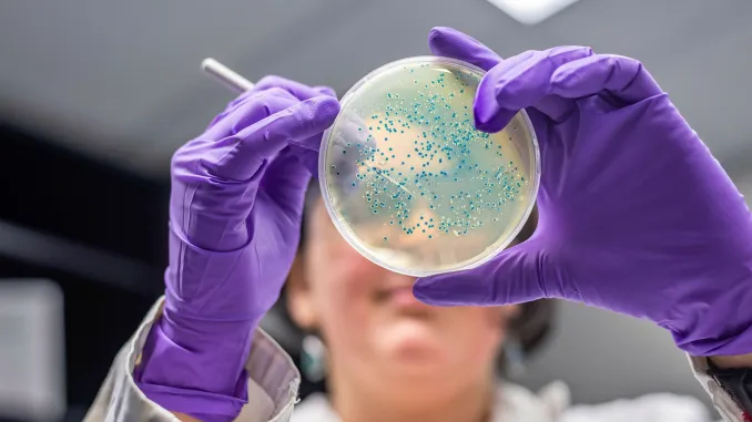 Sessiz Pandemi: Antimikrobiyal Dirençle Küresel Mücadele ve Tek Sağlık Yaklaşımı