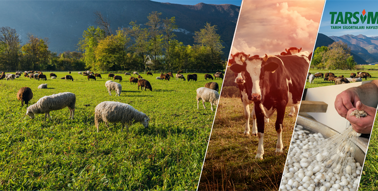 TARSİM’den Üreticilere Yeni İndirim ve Teminatlar