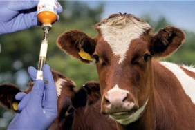 WhatsApp Image 2023-07-13 at 13.25.40