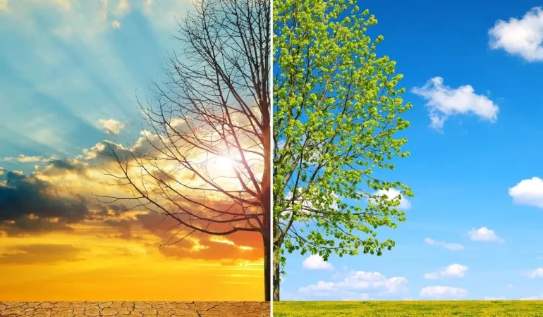 İklim Değişikliği ve Tarımsal Üretim: Birbiriyle İlişkili Dinamikler