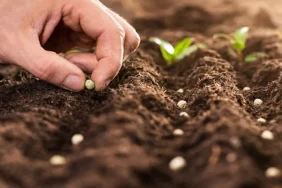 turkiyenin-israil-ile-tic-817