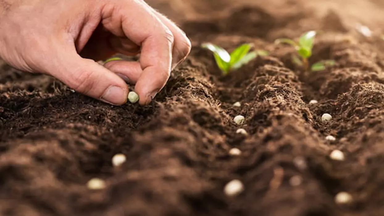 turkiyenin-israil-ile-tic-817