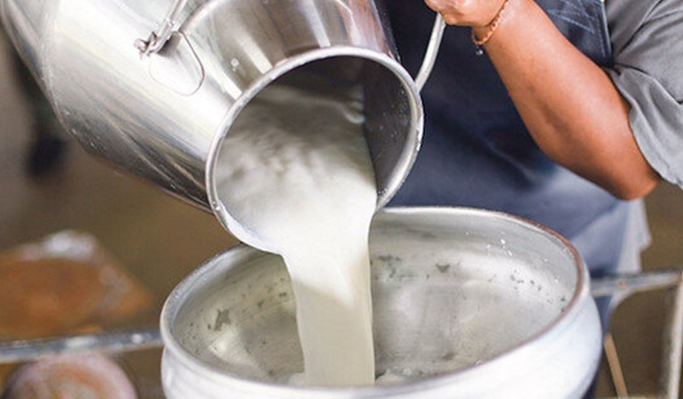 Çiğ Süt Destekleme Tebliği Yayımlandı