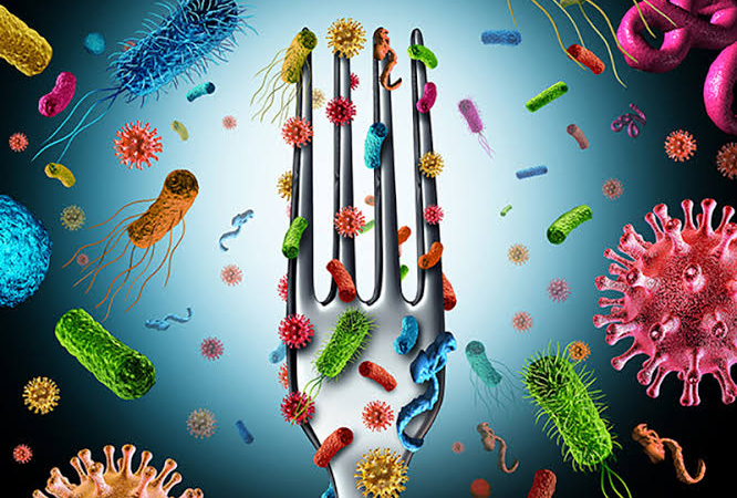Gıda Zehirlenmesi: Nedenleri, Belirtileri ve Korunma Yöntemleri