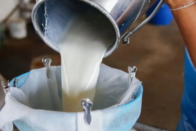 çiğ süt kalitesi