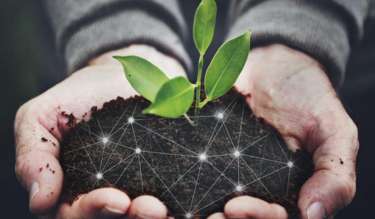 Sürdürülebilir Gübreleme: Tarımsal Üretimde Verim ve Çevre Dengesi