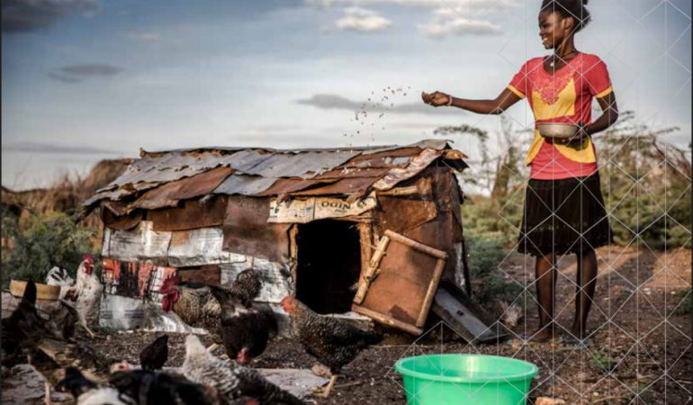 FAO ve WOAH’tan Yüksek Patojeniteli Kuş Gribine Karşı Yeni Küresel Strateji