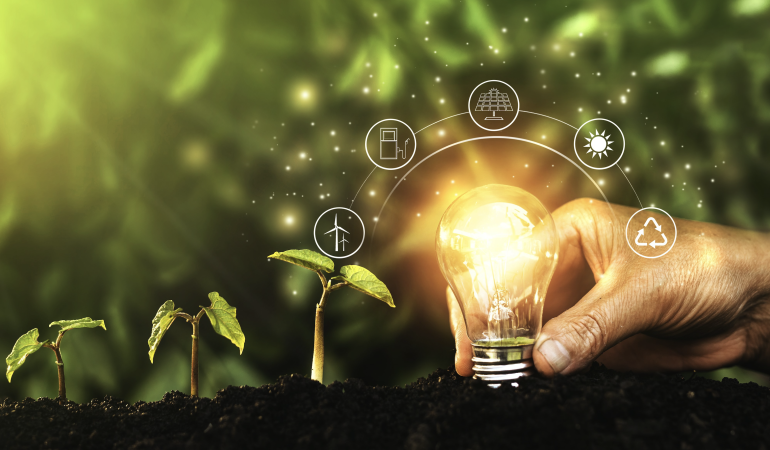 Sürdürülebilir Bir Gelecek İçin Tohumları Merakla Ekin