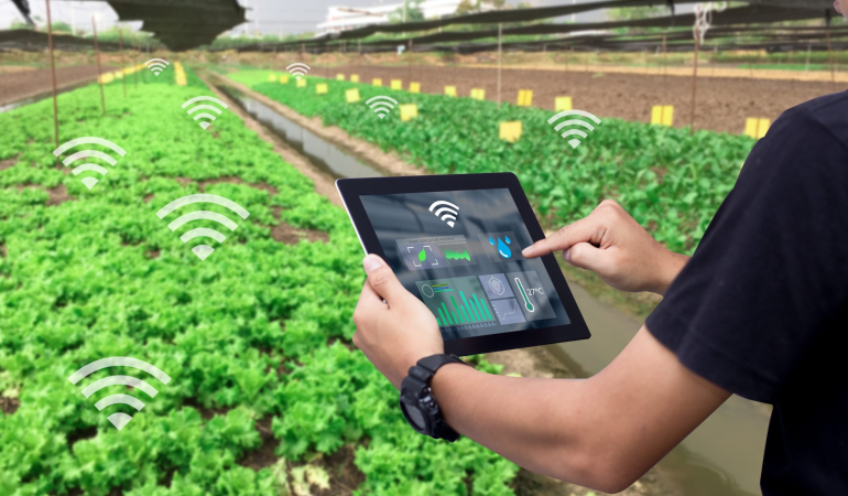 Küresel Tarımın Geleceği: Dijital Dönüşüm ve Çiftlik Yönetimi Yazılımlarının Yükselişi