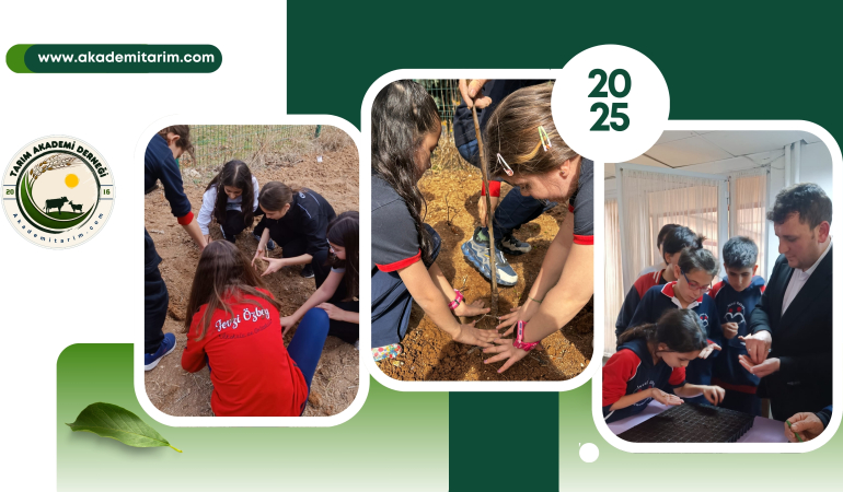 Tarım Akademi ile Çocuklar Toprakla Buluşuyor: Geleceğin Üreticileri Yetişiyor