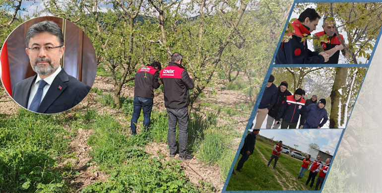 Zirai Don Alarmı: Bakanlık Sahada, Tespit Çalışmaları Sürüyor