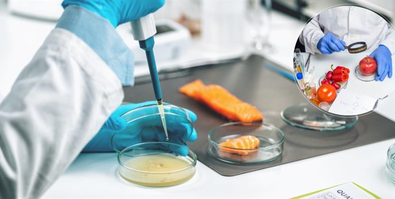 Avrupa Birliği’nin Gıda Güvenliği Hareketine Türkiye de Dahil Oldu