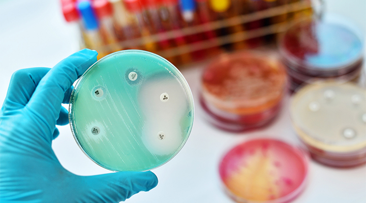 Tüketici Olarak Antimikrobiyal Direnç Hakkında Ne Bilmeliyim?