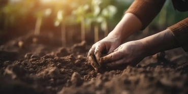 female-farmer-planting-seed-in-a-soil