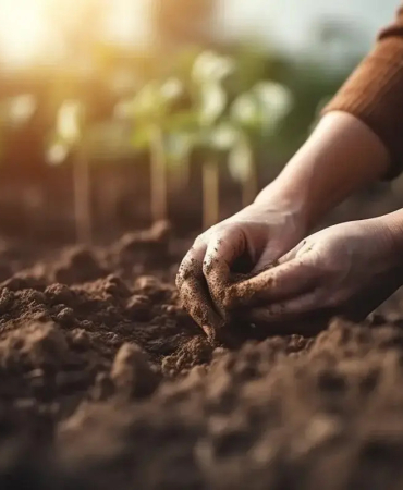female-farmer-planting-seed-in-a-soil